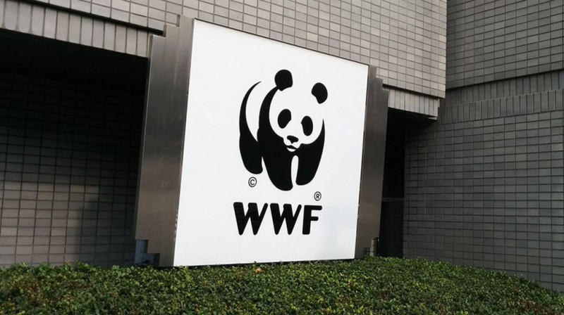 Всемирный фонд дикой природы объявили "иноагентом" в РФ