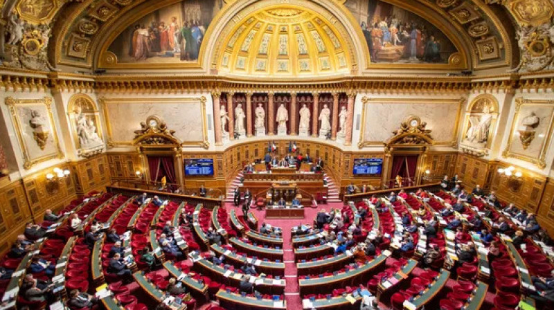 Протесты в Париже: сенат принял законопроект о пенсионной реформе