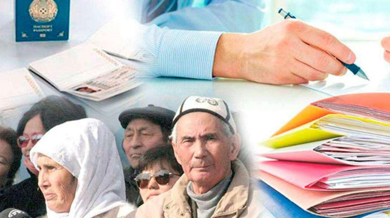 Екі айда 3 мыңнан астам этникалық қазақ қандас мәртебесін алды