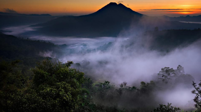 "Меня хотят расчленить и искупать в кислоте": российский турист сделал откровенное фото на Бали