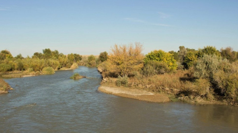 Унесло течением: тело 4-летней девочки обнаружили в реке Арысь