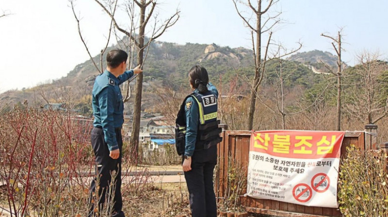 Побег из аэропорта в Южной Корее: разыскиваемый казахстанец сдался полиции