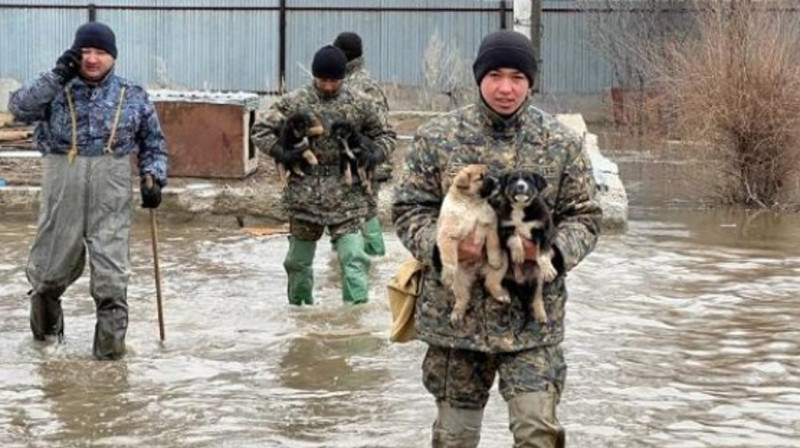 В Актобе эвакуировали больше 100 человек из-за паводка