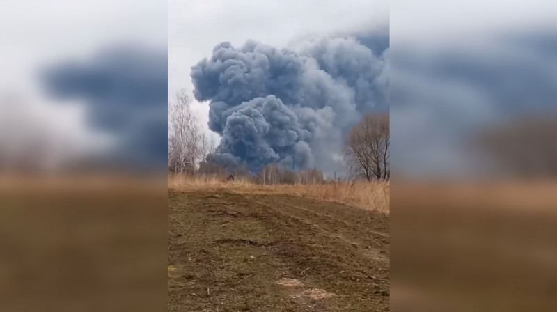 Крупный пожар произошёл на птицефабрике в Брянской области