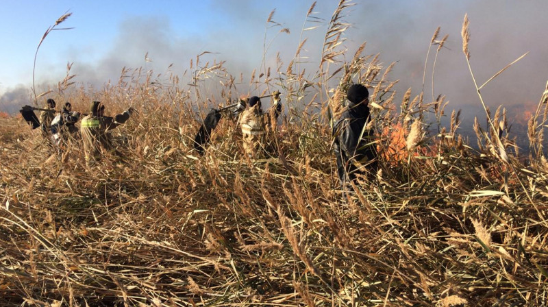 Атырауды қамыс өртінің түтіні басты