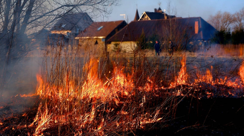 В ВКО зафиксированы первые случаи возгорания сухой травы
