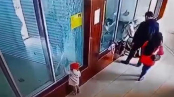 Ребенок разбил стеклянный вольер с обезьянами в зоопарке Шымкента