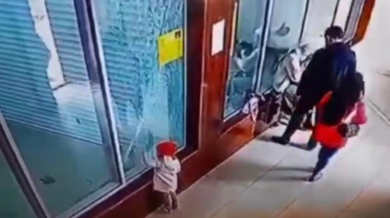 Ребенок разбил стеклянный вольер с обезьянами в зоопарке Шымкента