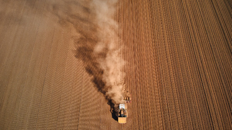 Казахстанских фермеров уличили в обмане государства