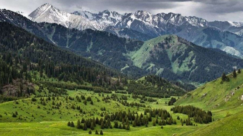 В Казахстане могут внедрить мораторий на строительство в горах Алматы