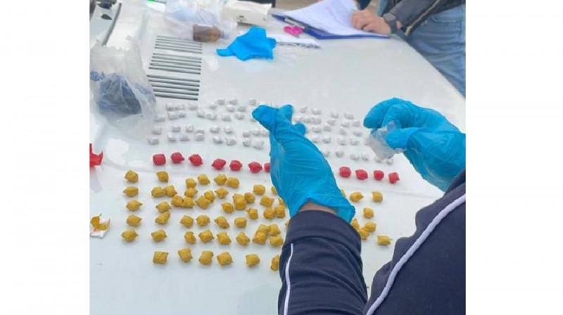 Алматы облысында әйелден 151 гр мефедрон тәркіленді