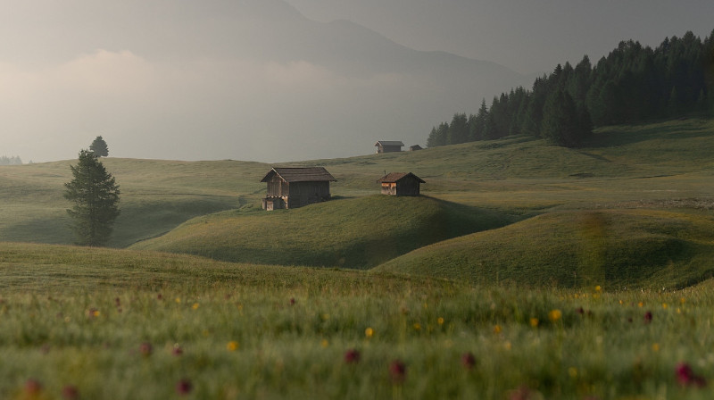 Фермеры Туркестанской области требуют вернуть им изъятые земли