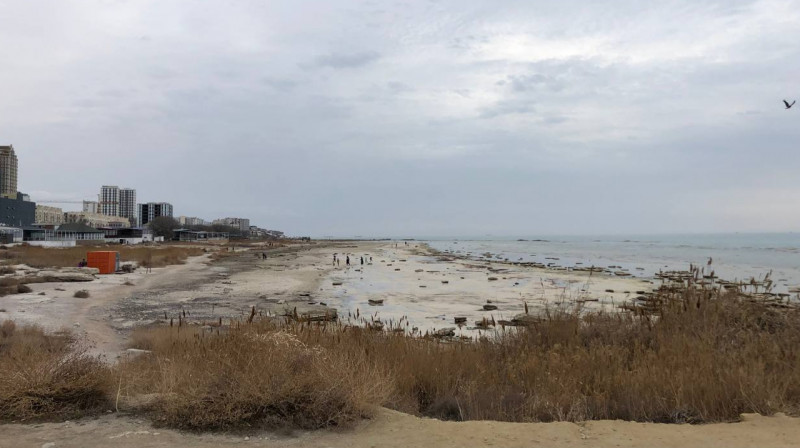 Қазақстанда Каспий проблемасын зерттейтін институт құрылмақ