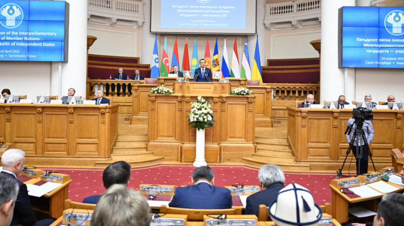 Мәулен Әшімбаев Ресей университетінде қазақ тілін оқыту туралы ұсыныс айтты