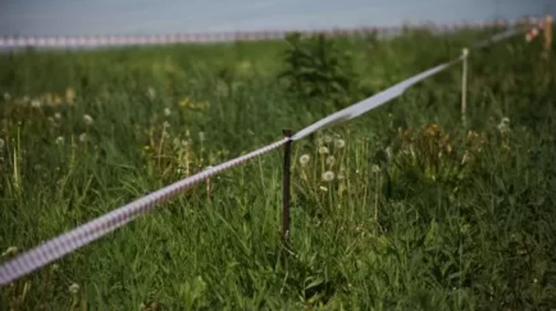 Қосшыда заңсыз берілген жер телімдеріне мектеп салынады