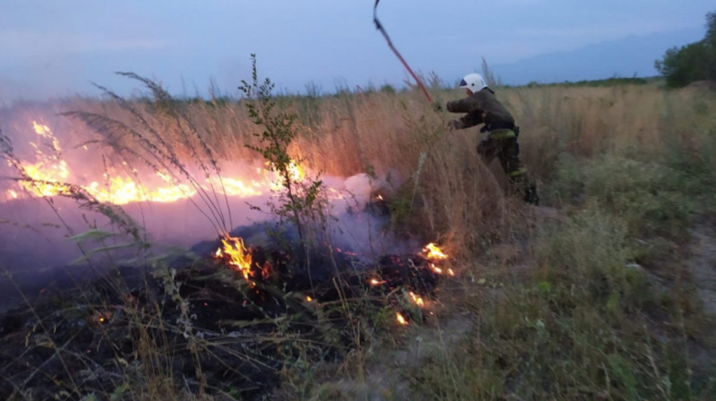 Шығыс Қазақстанда екі аптада отызға жуық дала өрті тіркелді