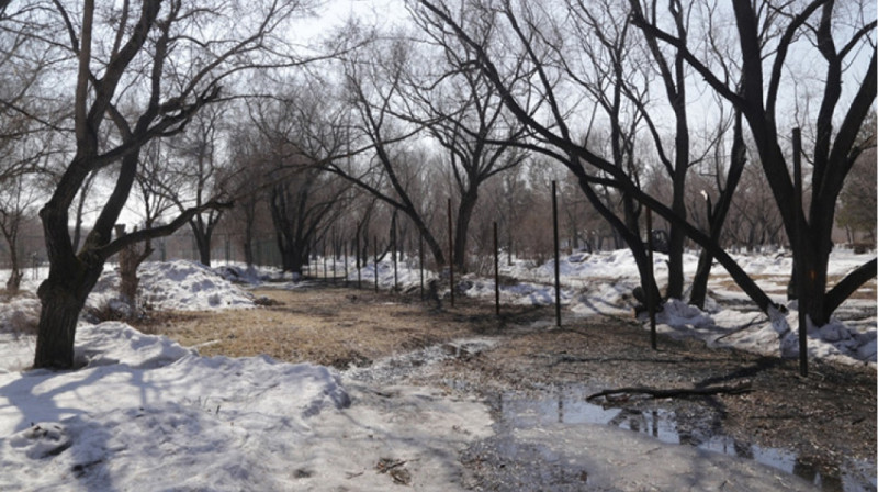 В Караганде затопило Центральный парк из-за коммунальной аварии