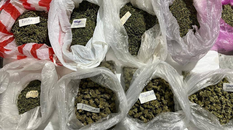 Жамбыл облысында шатырда ірі көлемде есірткі жасырған тұрғын ұсталды