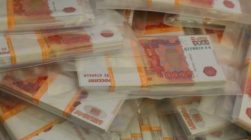 Казахстанец пытался вывезти 33 млн рублей наличными из страны