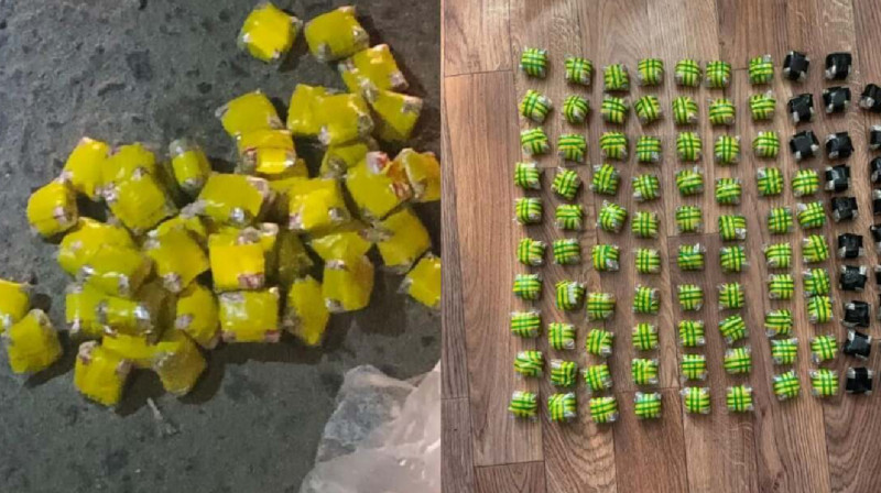 В Павлодаре у местного жителя изъяли 1,4 кг наркотиков