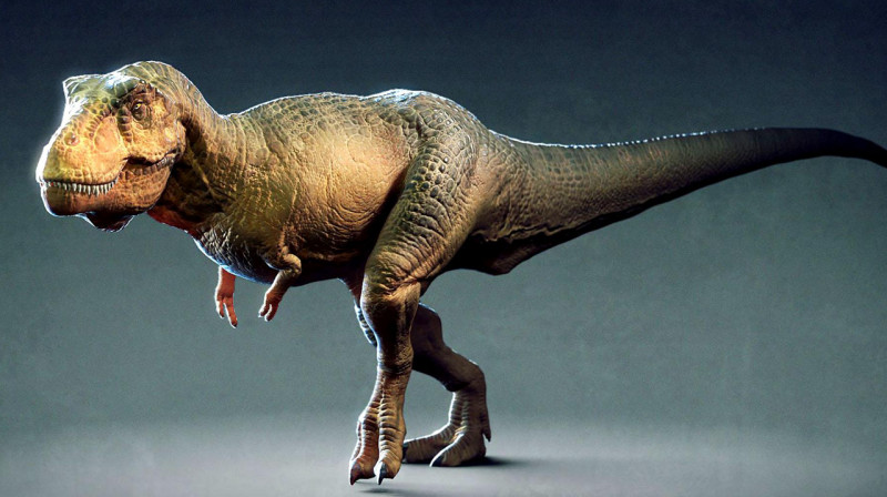 В Швейцарии выставили на торги скелет тирранозавра
