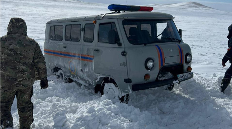 Женщина, отправившаяся на поиски скота, найдена мертвой в Павлодарской области