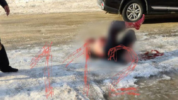 В Якутии подростки напали на школьника с перцовым баллончиком и изрезали его отца мачете. Видео