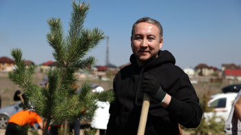 Как Jusan высадил сотни деревьев по всему Казахстану