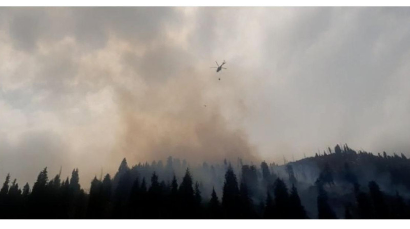 Пожар в горах Алматы не могут потушить более 16 часов