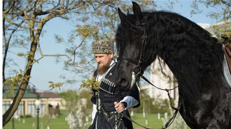 Украинские спецслужбы помогли вернуть Рамзану Кадырову породистого коня