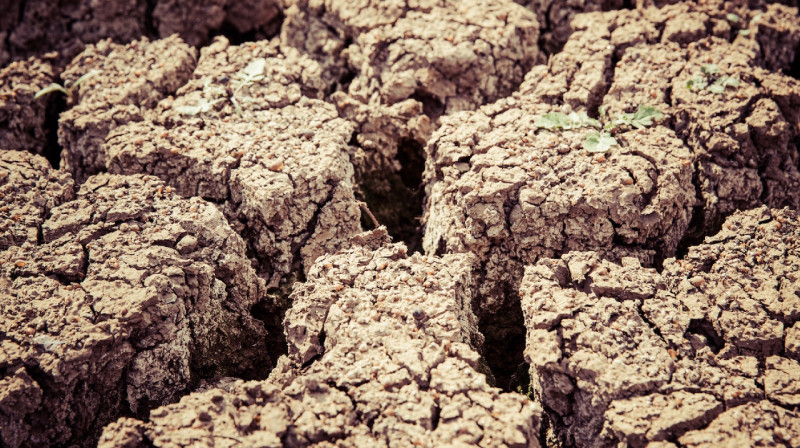 "Достаточно негативный тренд" - министр экологии о дефиците воды