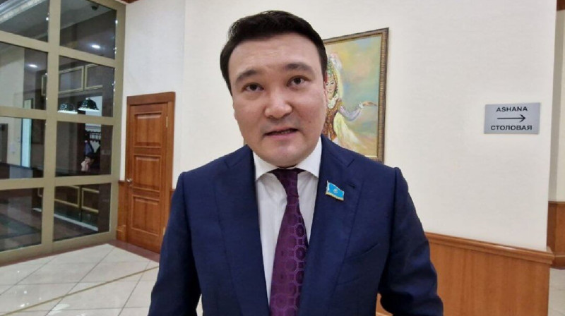 Болат Назарбаевтың ұлы өз ауылына қымбат газ тарифін ұстап отыр - депутат