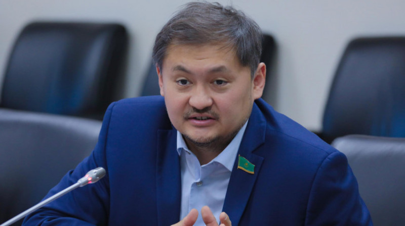 Саясат Нурбек призывает отделить политику от критики Назарбаев университета