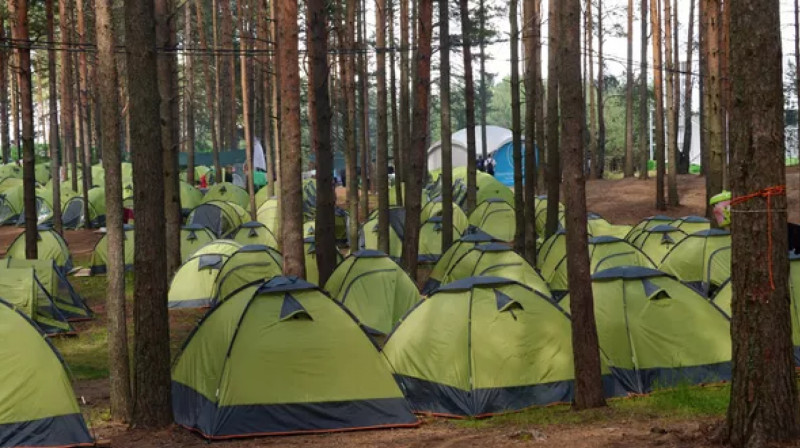 20 тысяч казахстанских школьников бесплатно отправятся в летние лагеря