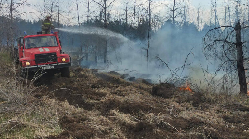 Лесной резерват горит близ Семея: в регион направлены пожарные из Астаны, Павлодара и Караганды