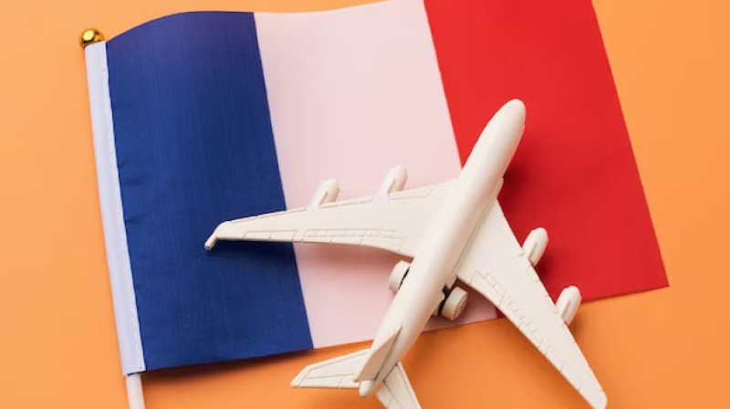 Запрет перелетов на короткие расстояния ввели во Франции