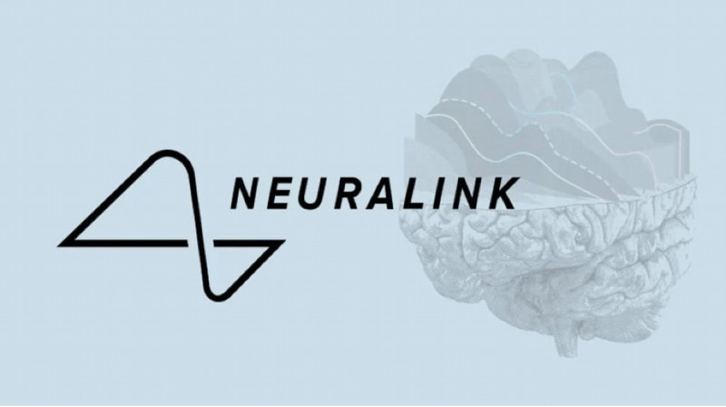 Компания Илона Маска получила разрешение на тестирование нейрочипов на людях