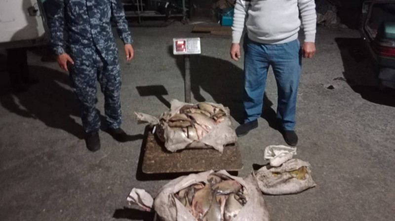 Мужчина незаконно выловил рыбу на 400 тыс. тенге в Жетысуской области