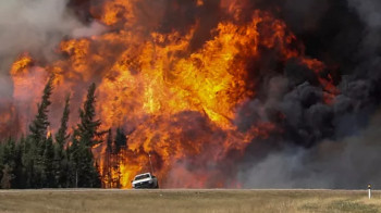 Лесной пожар вспыхнул на востоке Канады, эвакуировано 18 тысяч человек