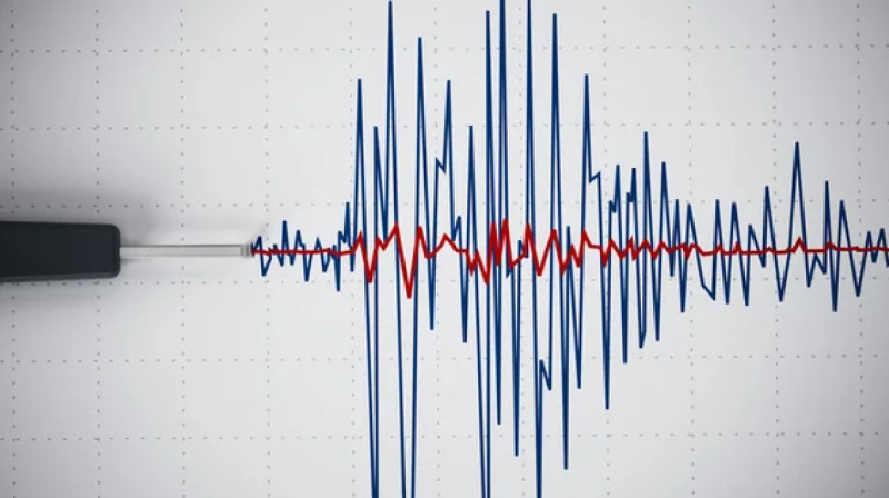 Сейсмологи зафиксировали землетрясение в 443 км от Алматы