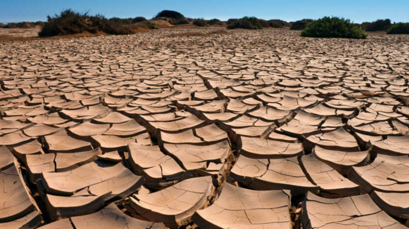 Засуха ожидается в нескольких регионах Казахстана