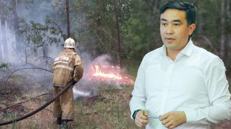 "Мы наблюдали, как горит лес, а акимы отмечали годовщину" – экс-депутат Абайской области
