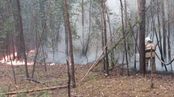 Тела еще 3 пропавших лесничих нашли на месте пожара в Абайской области