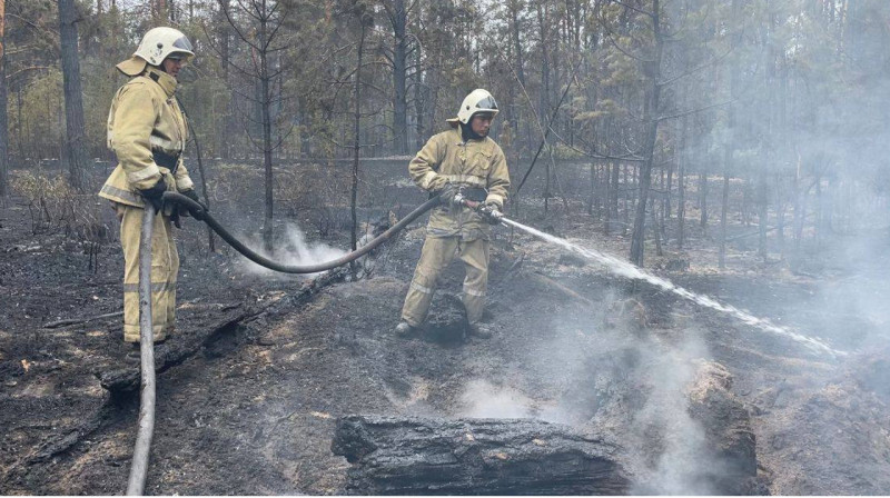 Пожар в Абайской области: вертолеты сбросили более 1000 тонн воды