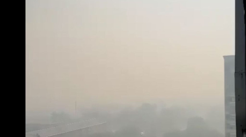 Дым от лесных пожаров достиг области Жетысу