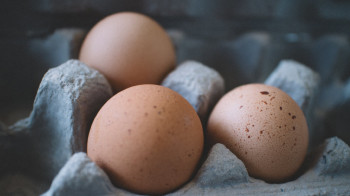 Правительство Казахстана отказалось субсидировать производство яиц
