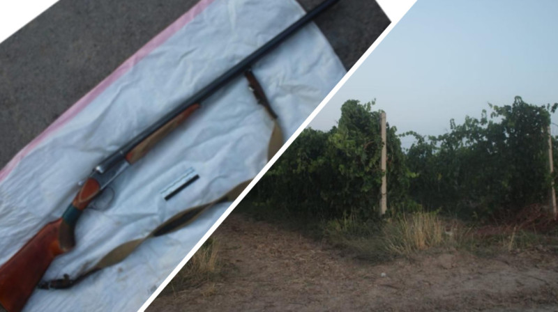 Подростка случайно убили при отстреле птиц в винограднике в Туркестанской области