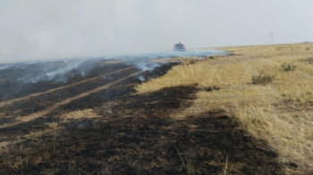 В Павлодарской области горит сухая трава