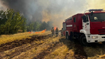 В лесах Павлодарской области возник пожар