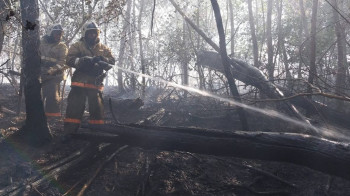 Крупный лесной пожар в Павлодарской области: есть угроза перехода огня в Россию
